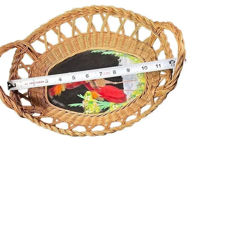 Vintage Mexico Bird Feather Folk Art Painted Wicker Basket Wall Decor 12
